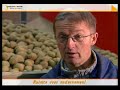 Accon avm adviseurs en accountants - akkerbouw