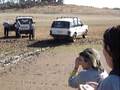 videos de 2º Passeio na Costa Vicentina dos MST