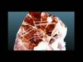 Recursos Minerais e Energeticos do Brasil