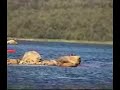 Vermont water scene music by Mark Olson Poor Michael\