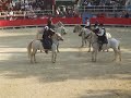 carrousels, grde motte, 14/09 carrousels, grde motte, 14/09