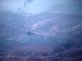 Atlantic Salmon Webcam