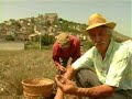 \"ORO ROSSO\" lo zafferano di Navelli