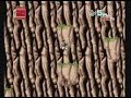 Retroware TV takes a look at Ninja Spirit for the Turbo Grafx 16.  Season Two, Episode 7 Part 2 of 6