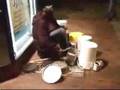 Awesome-homeless-guy