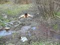 clip from 4 7 6 sink butt sink 2