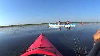 Canoe a Sulina