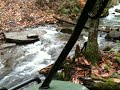 IMG 0838