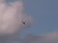 Typhoon almost totalled