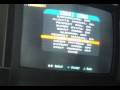 THPS free skate stuff