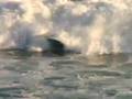 videos de Steamers Lane Surf