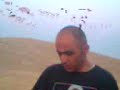 السامر في البر