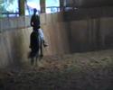 odile et lenert au concours de dressage