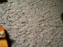 berlinwoodwidedeep+riptape review