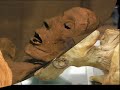 A browse through the mummies in the...