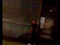 dronken in keulen dronken in keulen