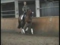 Prestige VDL with Edward Gal part 2