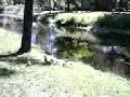 Me feeding ducks Me feeding ducks