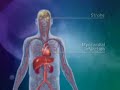 inflamacion
