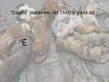 Spike, adapost animale fara stapan, Cernavoda