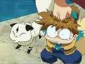 BFF-shippo and kirara