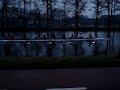 Oosterling 8+ in actie