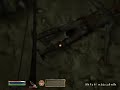 Oblivion Bug