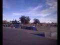 mitchell slee flip