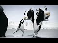 la vaca lechera - canciones infantiles