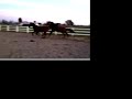 Galloping