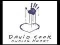 David Cook - Porcelain ( Early Recording Before Idol )