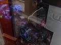 Gaming Computer