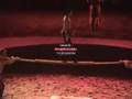 Cavalia - Trick Ri... Cavalia - Trick Ri...