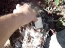Meteorite?