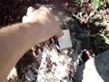 Meteorite?