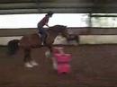 Chesney... a very cheeky pony!