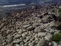Se video