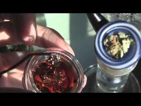 tokin daily: hashday! qwiso, bho, and solventless