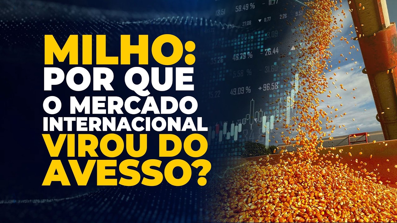 MILHO: POR QUE O MERCADO INTERNACIONAL VIROU DO AVESSO?