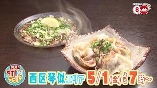 発見！タカトシランド