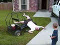 Two Fat Men Wipeout