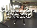 Inner Thigh Exercise | D1 Flexion Inner Thigh Exercise | D1 Flexion