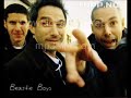 Beastie Boys - Hey Ladies Paul Nice Remix NEW 2007 Beastie Boys - Hey Ladies Paul Nice Remix NEW 2007