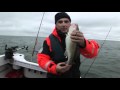 Baltic Warrior