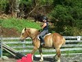 Go, Rocky- Go! The first ride on our draft horse- or draught horse if you're PC