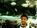 THE MANILA OCEAN PARK 2