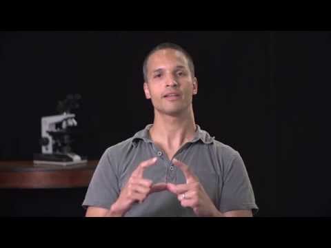 how to isolate yeast mutants