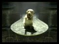 Budweiser Commercial With Alien