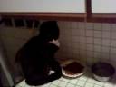 Autistic Cat Autistic Cat