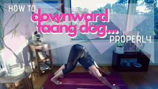 How to do a DownDog PROPERLY